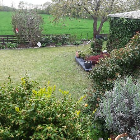 Ferienwohnung Schwalbennest Hanerau-Hademarschen المظهر الخارجي الصورة